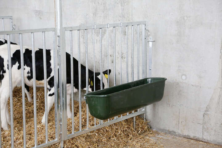 KERBL Modulare Zaunaufstallung Zaunteil mit Tür mit 3 Fressplätzen